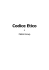 Codice Etico - METAL GROUP SPA