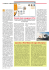 Demand chain management @Tnt Ipack