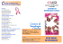 Brochure Centro di Senologia ()