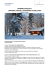 pdf - Le Vie del Nord