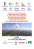 biogeochemical processes at air-water