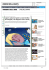 / SPECIALE SONNO Apnee notturne ignote a tanti medici di famiglia