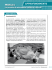ModuLo 4 APPROFONDIMENTO