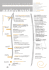 curriculum vitae - evstudio