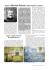 Sogno e magia nei lavori di Michele Petroni Saluto a Michele