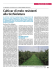 Cultivar di melo resistenti alla ticchiolatura