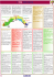 il vino della liguria 4