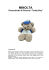 MINOLTA Orsacchiotto di Peluche “Teddy Boy”