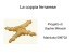 La Coppia Ferrarese_Sophie Mikosch