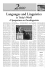 Merolle imp 2-06 - vincenzo merolle
