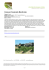 Scheda in PDF