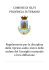 Regolamento riprese televisive-streaming del