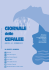 Rivista Cefalee - Società Italiana per lo Studio delle Cefalee