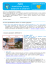 scarica, leggi e diffondi la nostra newsletter!!