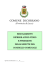 Regolamento Streaming