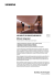 Data sheet di prodotto (it)