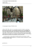 Un ragno gigante compare al Rockfeller Center