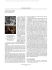 Scarica il PDF - Rivista di Psichiatria