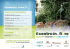 Fiore 2015 (brochure in pdf)