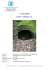 1 aprile 2017 grotta sperticaia