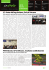 Per scaricare la newsletter clicca qui