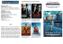 scheda midnight in paris(definitiva)