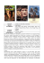 TITOLO Addio al re (Farewell to the King) REGIA John Milius