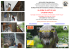 OCCHI APERTI CON MERAVIGLIA Nikon Baby Photo School