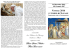 depliant-natale-2016 - Parrocchie Tre Colli