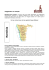 Namibia Senza Tempo