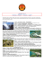 Scarica PDF - Adventure4You