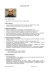 CURRICULUM VITAE Nome: Stefano Lanzoni Luogo e data di
