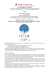 Progetto: CITIES - ic parco della vittoria