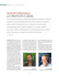Read the article - Gruppo Roncaglia