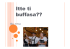 Itte ti buffasa Gli stili6