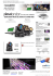 PDF Version