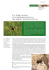Un libro rosso sull`artropodofauna del Friuli Venezia Giulia