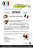 Salone del Cioccolato CHOKOGOU