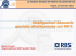 Intervento RBS - Professione finanza