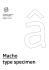 Macho type specimen