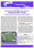 Anno2nr5 - maggio 2011