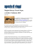 Magical Kenya Travel Expo, a ottobre l`edizione 2015