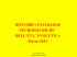 Presentazione di PowerPoint