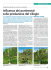 Scarica il documento - Provincia di Verona