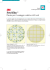 Select E. Coli Italie