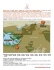 Tswana Lodge Safari. Viaggio di 8 giorni alle