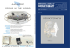 World Federation of Ozone Therapy