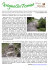 Scarica PDF - Montagne di Valgrigna