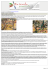 Articolo Sapete che cos`è il ready-made? tratto da lascuolapossibile.it