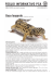 FOGLIO INFORMATIVO PSA - Protezione Svizzera degli Animali PSA